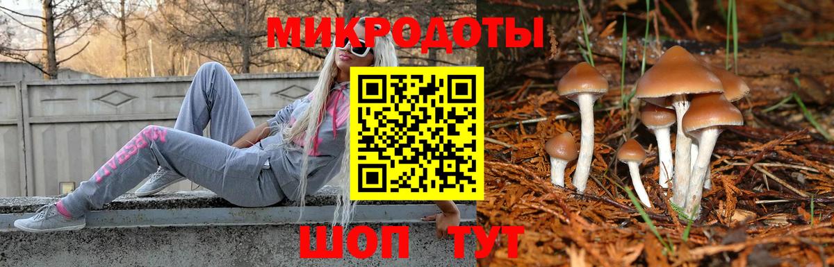 Псилоцибиновые грибы MAGIC MUSHROOMS Когалым