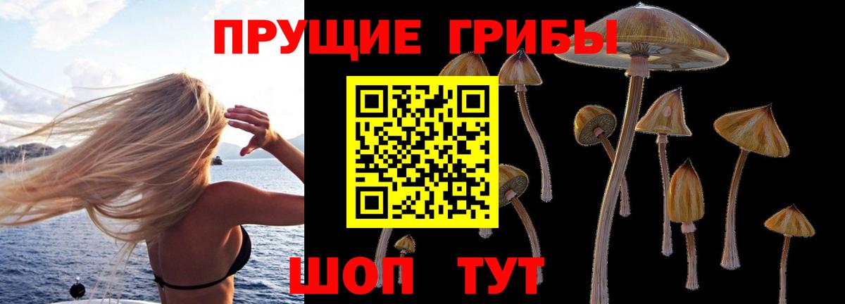 как найти закладки  Вход с VPN  Когалым  Галлюциногенные грибы прущие грибы 